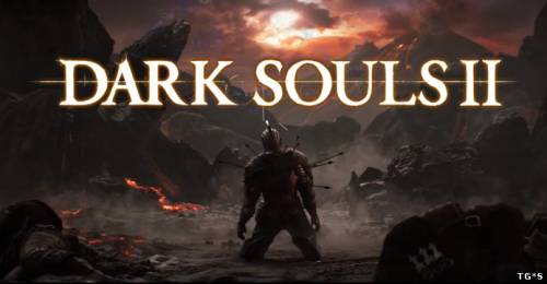 Дата выхода Dark Souls 2 на PC 31 мая , согласно Amazon торрент игры