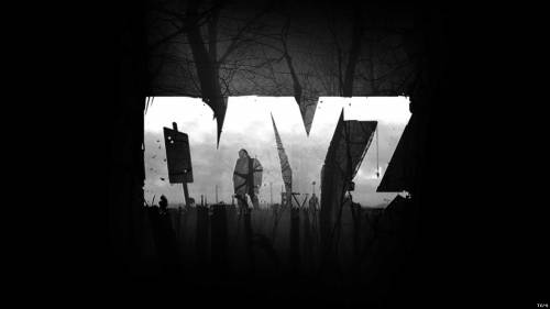 Удваивается команда разработчиков DayZ торрент игры