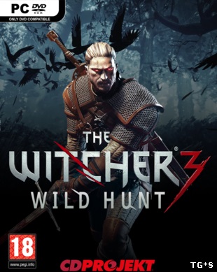 Ведьмак 3: Дикая Охота / The Witcher 3: Wild Hunt [v 1.04 + 2 DLC] (2015) PC | RePack от R.G. Catalyst