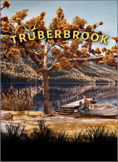 Truberbrook [v 1.15] (2019) PC | RePack by SpaceX
