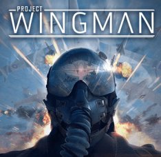 Project Wingman - 2020