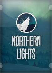 Northern Lights - 2020
