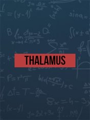 Thalamus (2022)